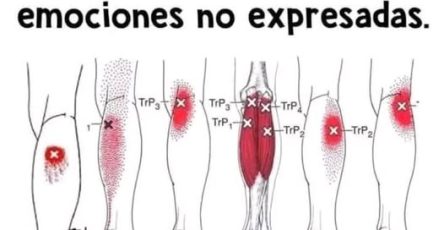 548264654 1312346560254654 6147908463804684795 n