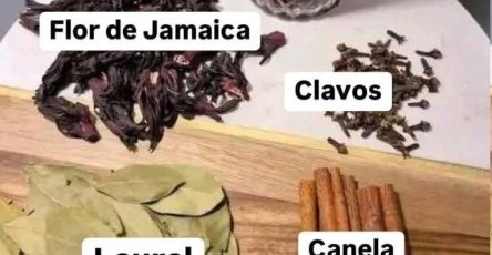 548607968 799072382678715 2829314479862696407 n