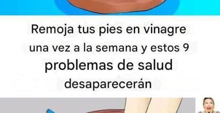 548738596 772372022069652 5847931138269887816 n