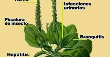 548818561 1316101159879194 4847524145369433588 n