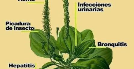 548818561 1316101159879194 4847524145369433588 n