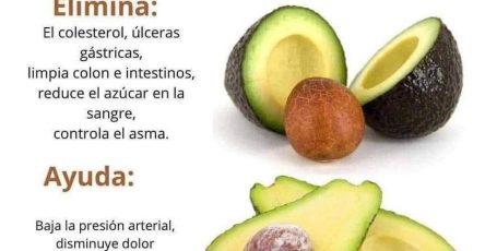 549643096 765119329664478 4142590033848604968 n