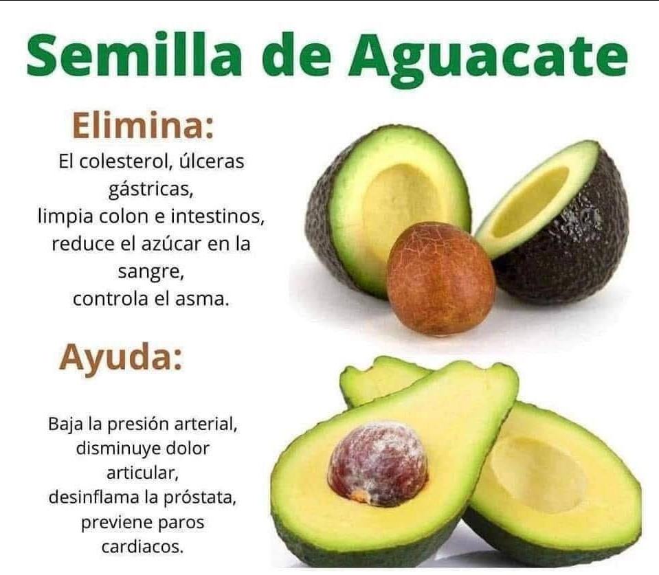 549643096 765119329664478 4142590033848604968 n