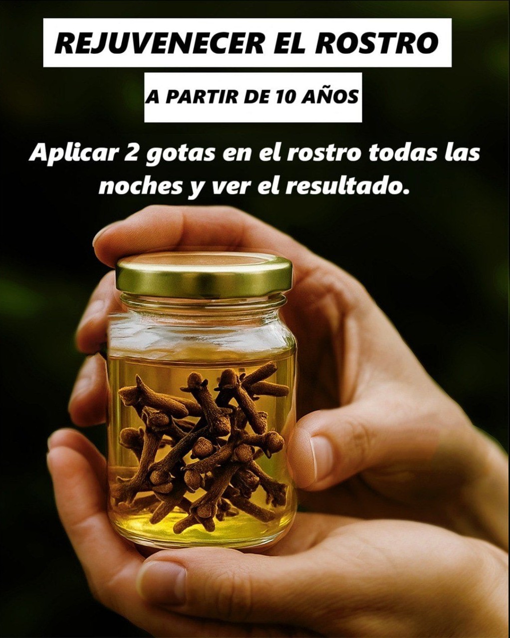 549648879 122188353734377064 357117476057217974 n