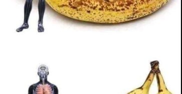 549784591 797781059300831 8108877519016407311 n