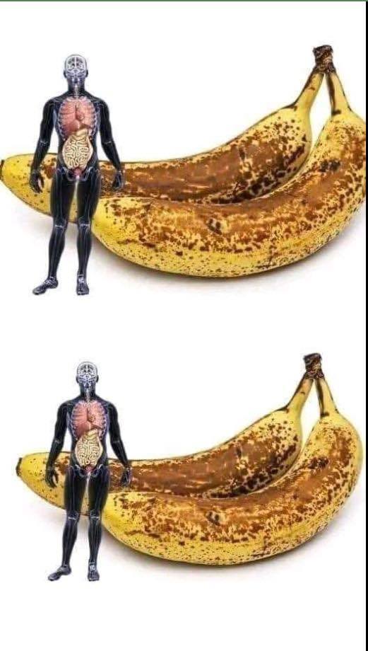 549784591 797781059300831 8108877519016407311 n