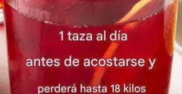 550080898 1219158740247110 7672660098440501986 n