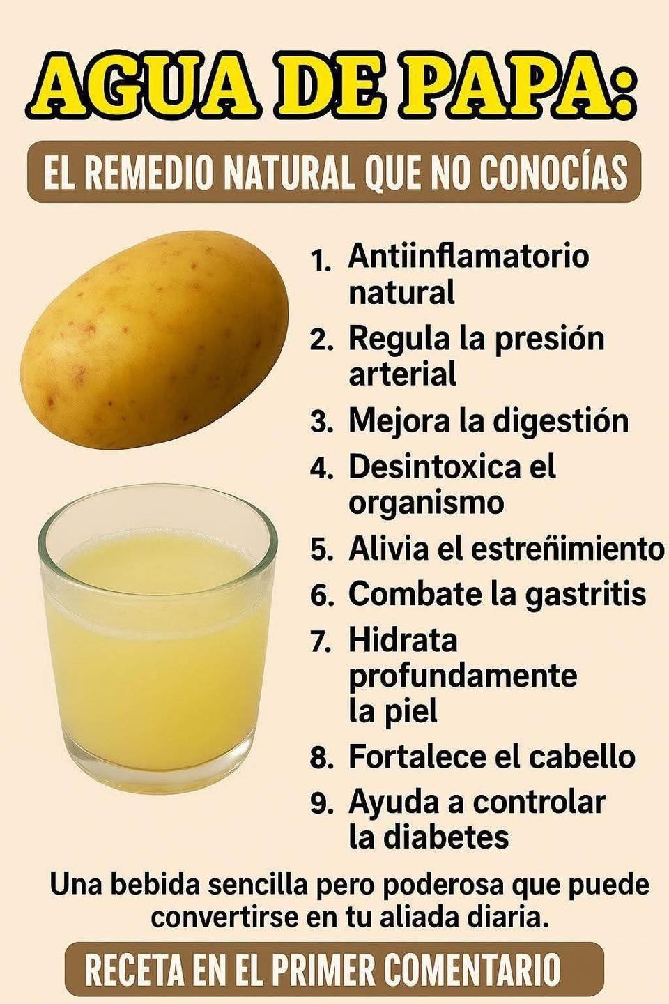 550406350 1778147802838007 8534086219572051655 n