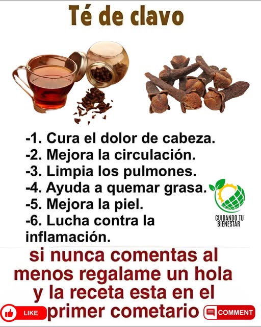 550459781 1485600579251055 3695151555405354958 n (1)