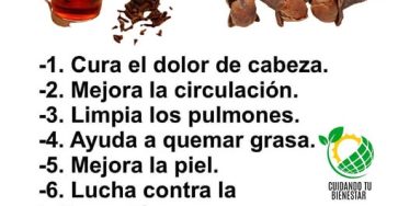 550459781 1485600579251055 3695151555405354958 n