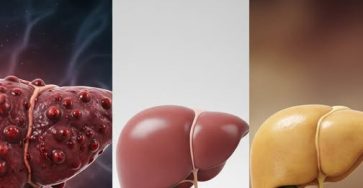 550968398 1318833112939332 3778993347607102530 n