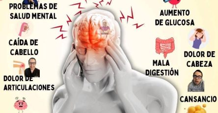 552577721 1183758706911846 5411717859393607565 n