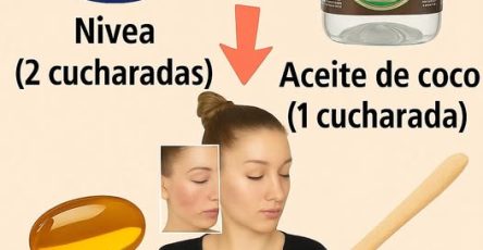 552763963 673557635788080 6649933815867845253 n