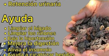 553216916 1721198071904243 5091639260862629858 n