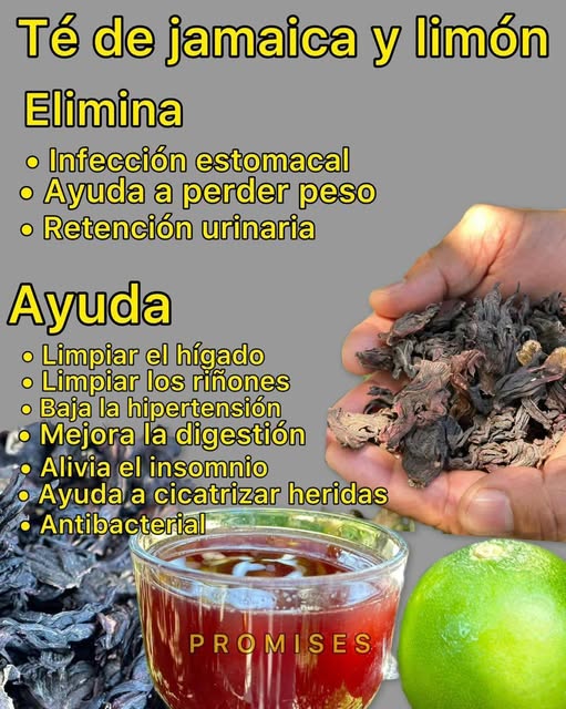 553216916 1721198071904243 5091639260862629858 n