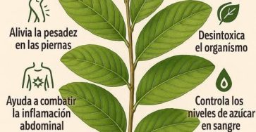 553344619 1480085033186353 8025896578741645289 n