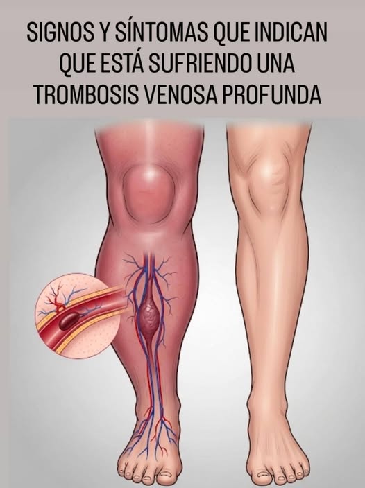 553688451 122217788942111867 612668514187809326 n