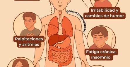 553759070 1501711790855869 1226967900150351034 n