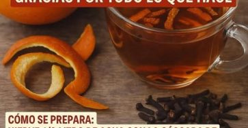 554094107 777350484905139 871651380360602112 n