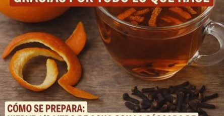 554094107 777350484905139 871651380360602112 n