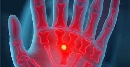 554750640 10237741806700796 4969616598809566862 n