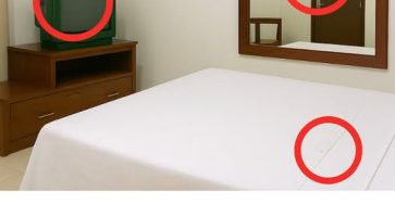 554822073 122217778088111867 3747392905068755296 n