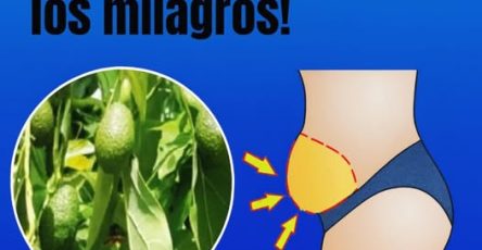 555014843 122217651686111867 5144363069969696713 n