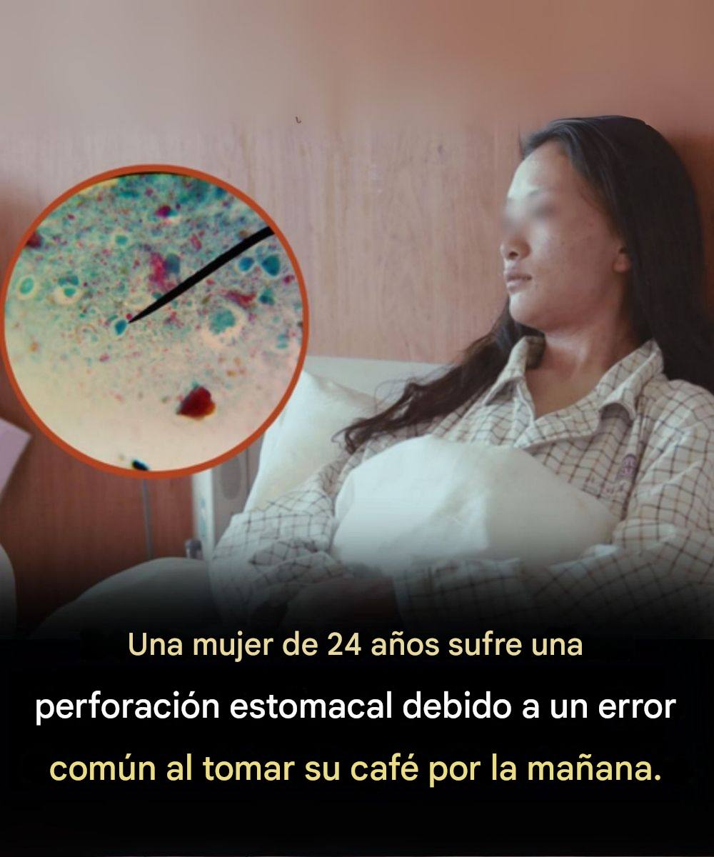 555046005 122189109722345226 6473783419215272828 n