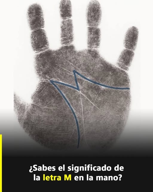 555055726 122217786374111867 5473959173778791056 n