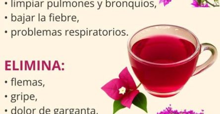 555102001 122155321550616848 2106388940763734666 n