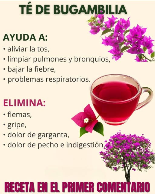 555102001 122155321550616848 2106388940763734666 n