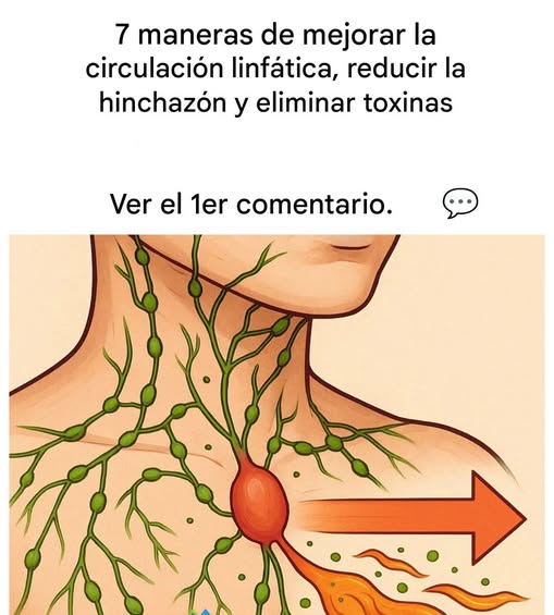 555435043 10237679565904815 6889862953610562373 n