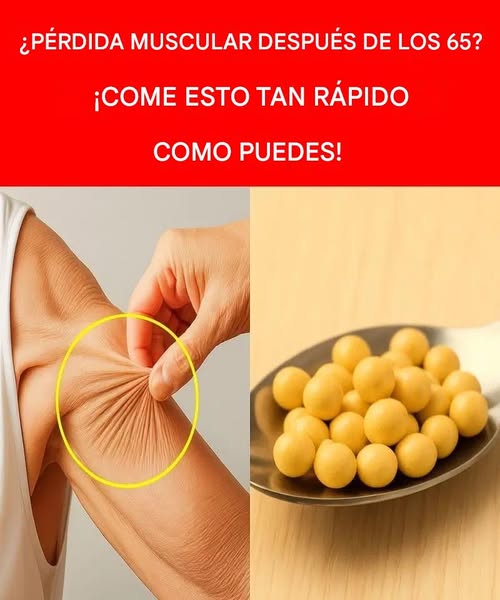 555468968 10237746490297883 6874607374003864995 n