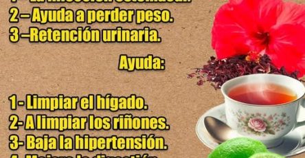 555594648 1721761005181283 678046958408154864 n