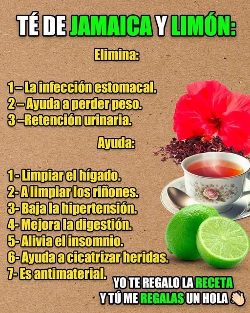 555594648 1721761005181283 678046958408154864 n