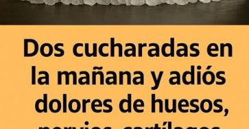 555673863 2530969143968812 2023440400562191512 n