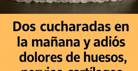 555673863 2530969143968812 2023440400562191512 n