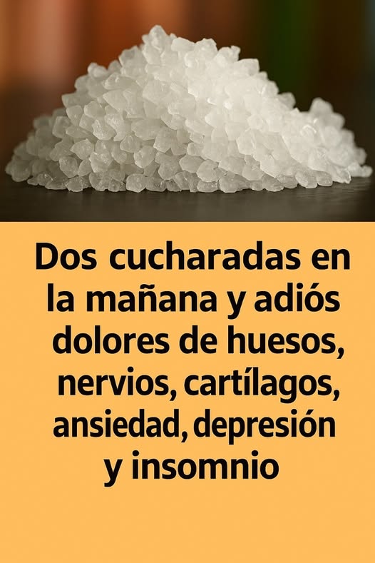 555673863 2530969143968812 2023440400562191512 n