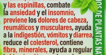 555700078 122142682100805681 7040998234913626889 n