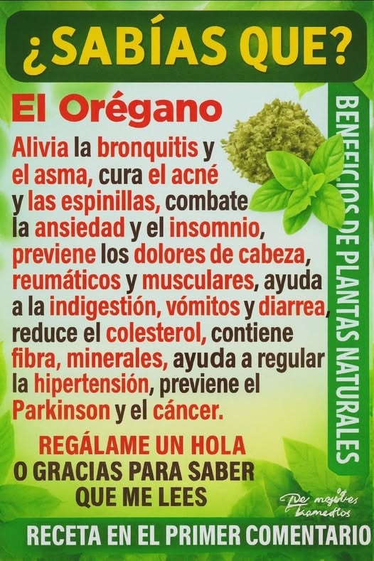 555700078 122142682100805681 7040998234913626889 n