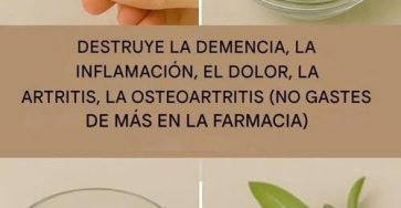 555709096 2531096750622718 7546912434166039148 n