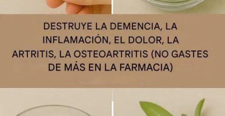 555709096 2531096750622718 7546912434166039148 n