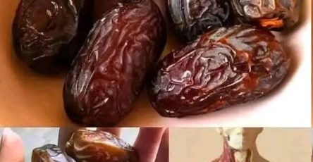 555837609 800878605816070 5576604087384677321 n