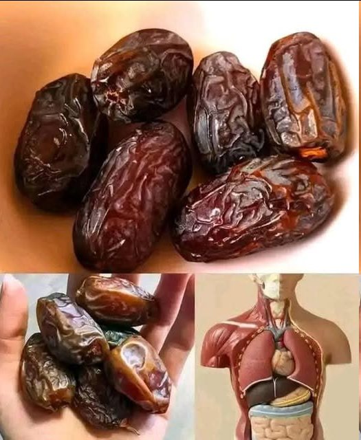 555837609 800878605816070 5576604087384677321 n