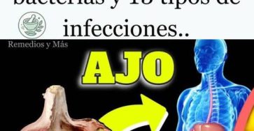 555896684 1370970394594139 2047401671280734571 n