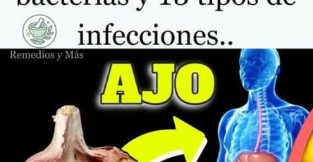 555896684 1370970394594139 2047401671280734571 n