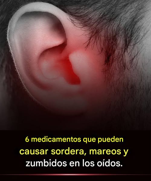 555971492 679883948464781 7340463658254016285 n