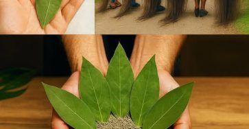 555997737 675535655590278 7172693366194345004 n