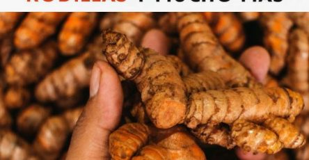 556039152 719053057856823 1831283219451192948 n