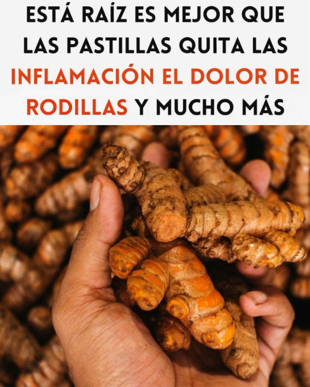 556039152 719053057856823 1831283219451192948 n